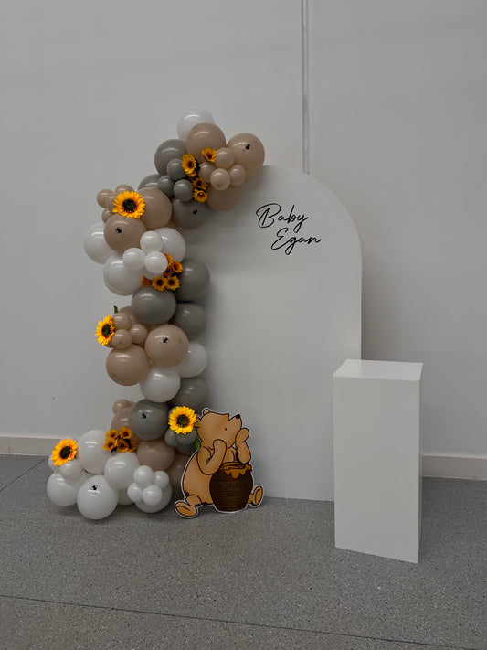 Backdrop + Cake Plinth